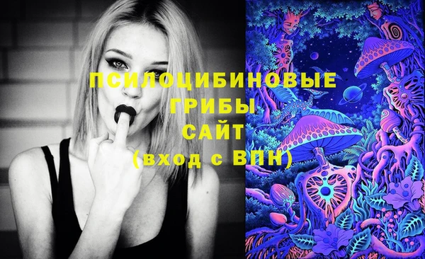 марки lsd Дмитриев