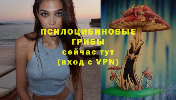 таблы Дмитров
