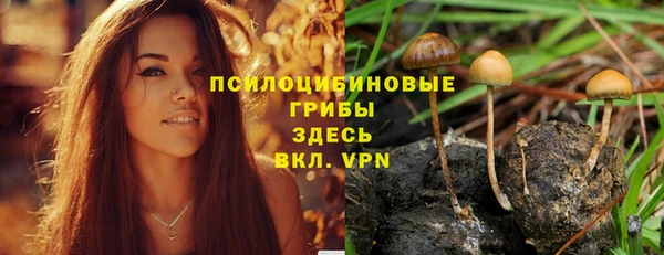 марки lsd Дмитриев