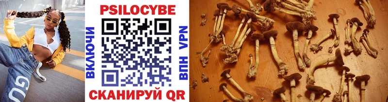 Псилоцибиновые грибы мухоморы  Кедровый 